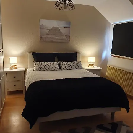 Des Ecureuils * Obernai