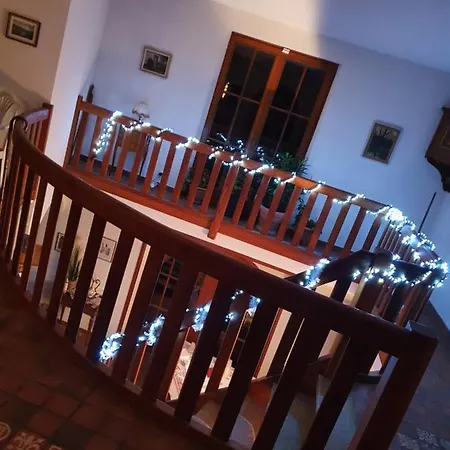 Des Ecureuils Obernai