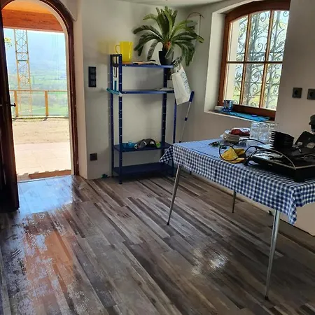 Des Ecureuils Obernai