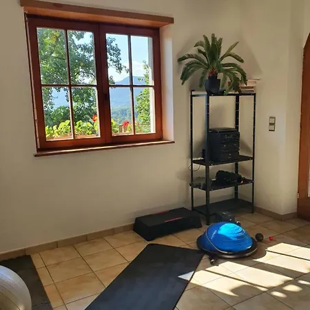 Des Ecureuils Obernai