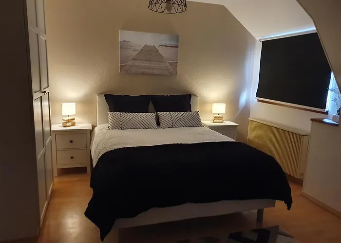 Des Ecureuils * Obernai