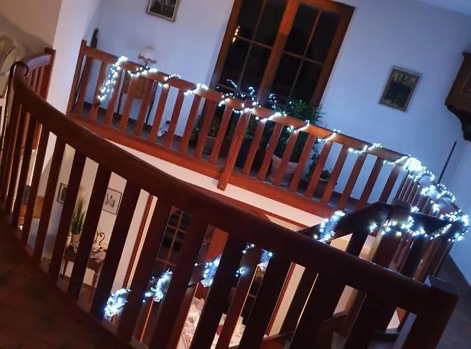 Des Ecureuils Obernai