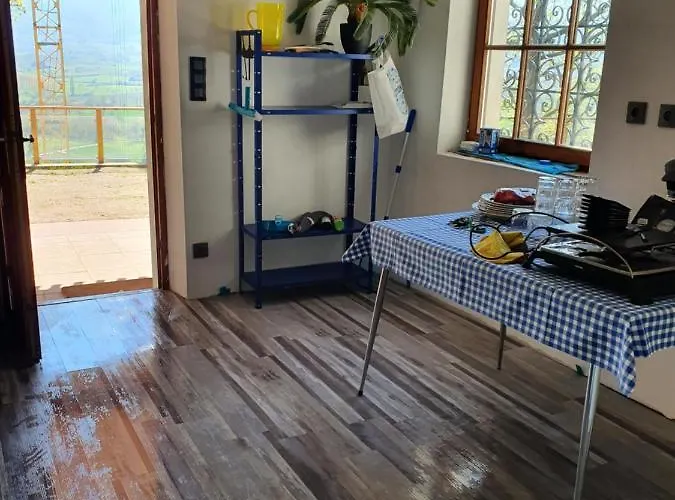 Des Ecureuils Obernai