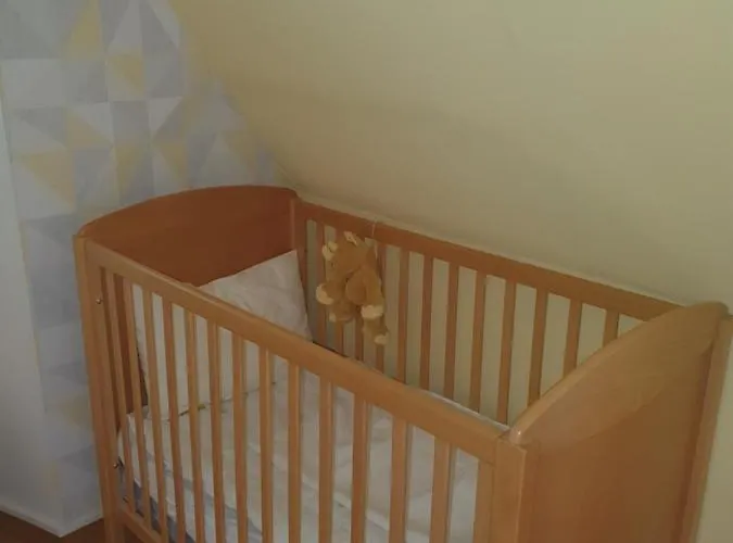 Des Ecureuils * Obernai