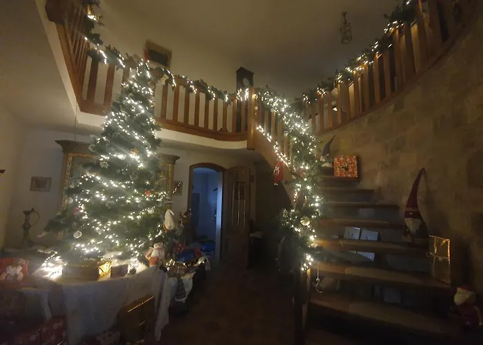 Des Ecureuils * Obernai