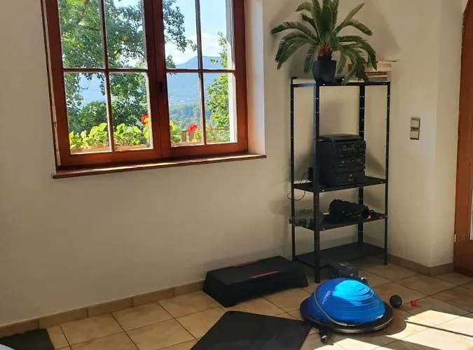 Des Ecureuils Obernai