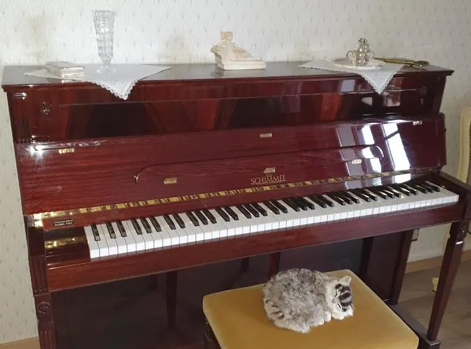 Des Ecureuils * Obernai